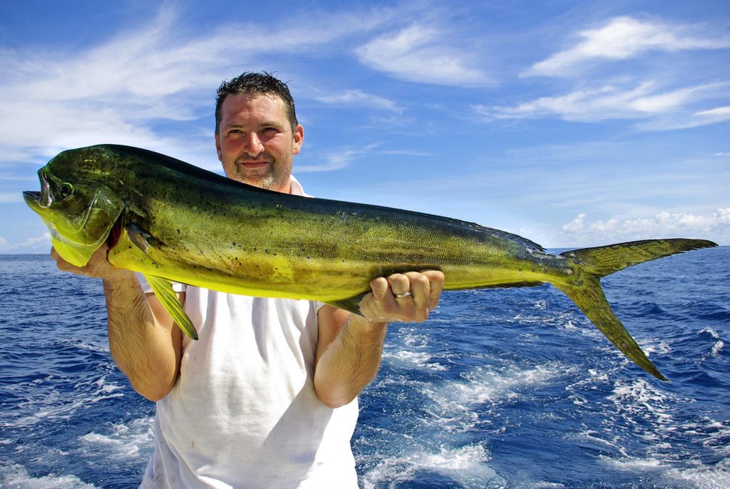 Fishing Charters In Cabo San Lucas Los Cabos Passport